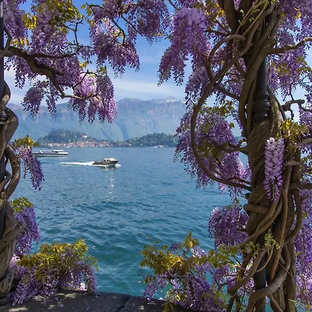Apartment Belvedere Mansarda Tremezzo